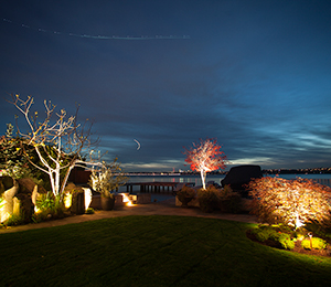backyard-nightscape-lighting