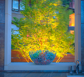 tree-highlighting-and-pathway-lighting