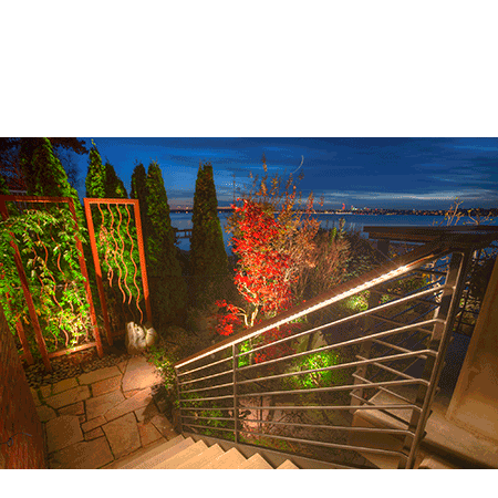 backyard-accent-lighting