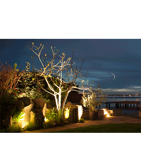 outdoor-landscape-lighting-scene
